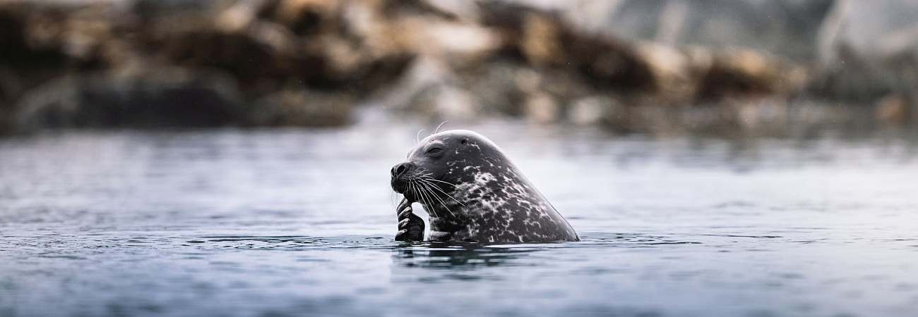 Foto: PolarQuest